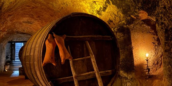 Bodegas Casajus - Exp inmersiva